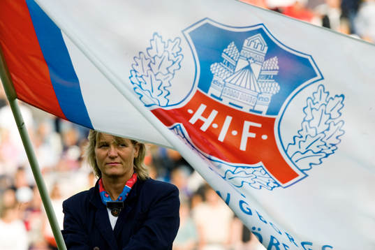 Helsingborgs flagga