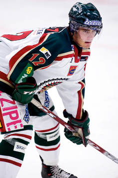 Karl Fabricios, Frölunda