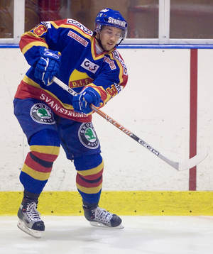 Fredrik Ericson, Djurgården