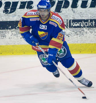 Fredrik Bremberg, Djurgården