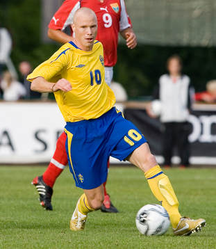 Alexander Farnerud, Sverige