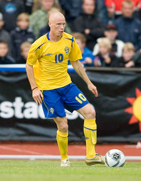 Alexander Farnerud, Sverige