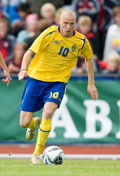 Alexander Farnerud, Sverige