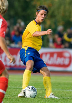Dusan Djuric, Sverige