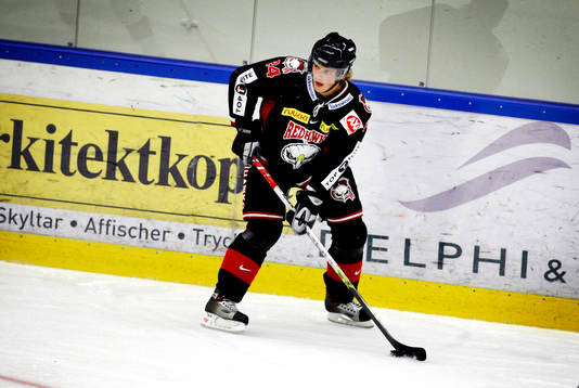 Linus Fagemo, Malmö Redhawks