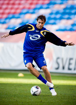 Johan Elmander