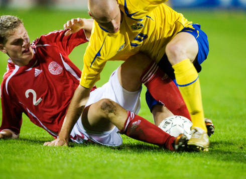 Alexander Farnerud, Sverige blir stoppad av Michael