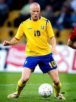 Alexander Farnerud, Sverige