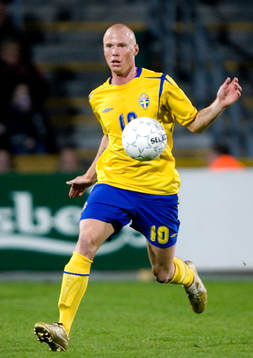 Alexander Farnerud, Sverige