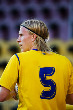 Oscar Wendt, Sverige