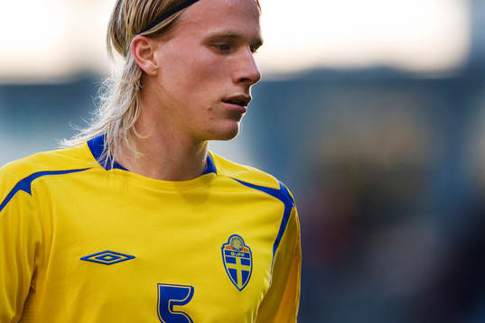 Oscar Wendt, Sverige