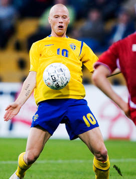 Alexander Farnerud, Sverige