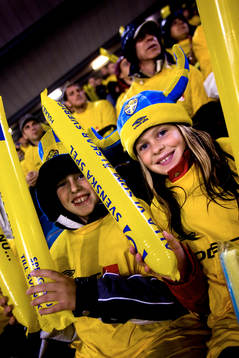 Fotboll, landslag, EM-kval, Sverige - Liechtenstein