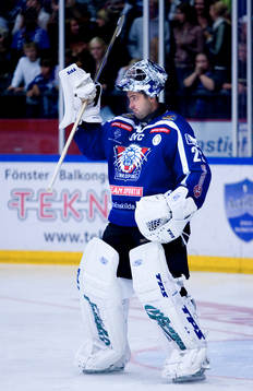 Roman Cechmanek, Målvakt