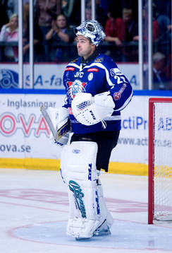 Roman Cechmanek, målvakt