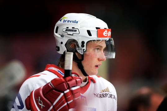 Peter Regin, Timrå