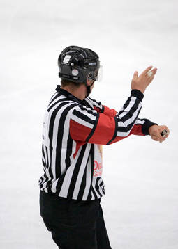 Domare. Slashing