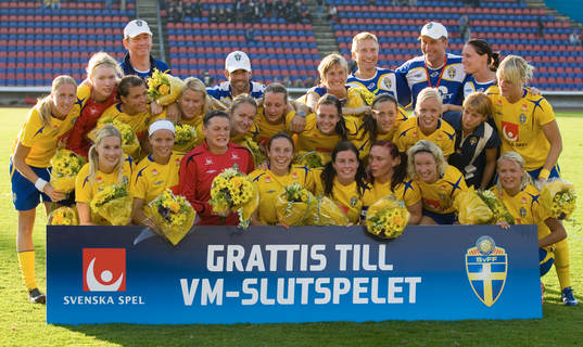 Lag, lagbild, Sverige