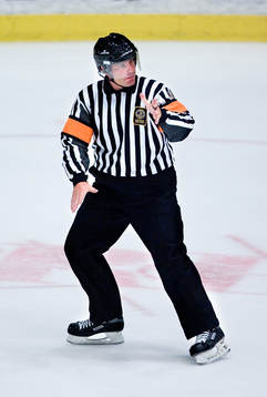 Björn Larsson, Domare