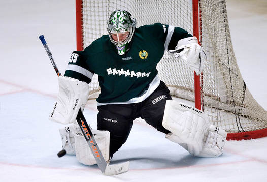 Carl-Johan Klint, Målvakt Hammarby