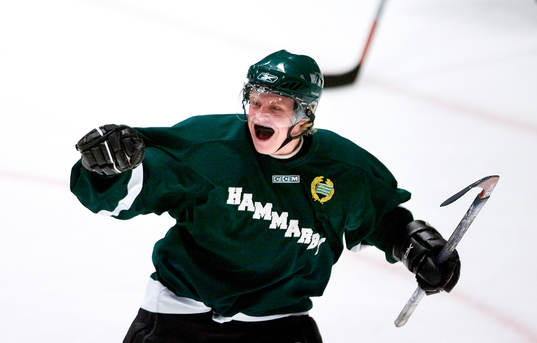 Robin Jalkerud, Hammarby jublar