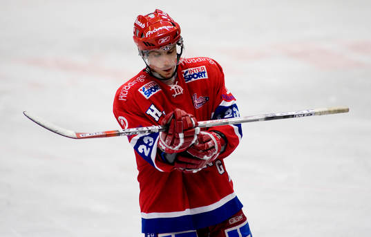 Viktor Tokaij, Huddinge deppar