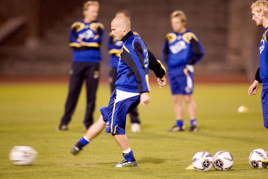 Fredrik Ljungberg, Sverige