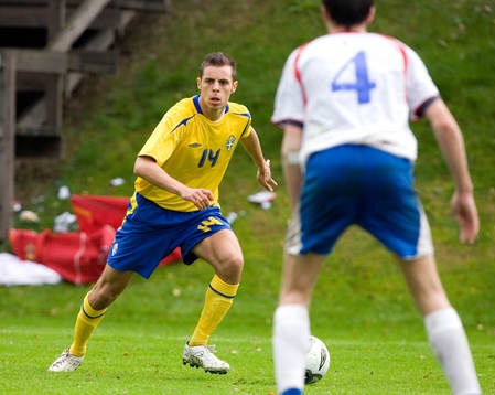 Alexander Zaim, Sverige