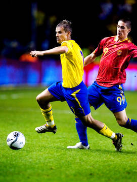 Niclas Alexandersson, Sverige och Fernando Torres, Spanien