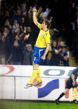 Johan Elmander, Sverige, jubel