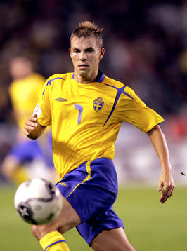 Niclas Alexandersson, Sverige