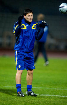 Stefan Ishizaki, Sverige