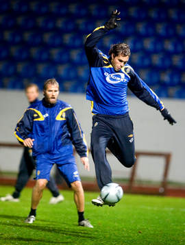 Johan Elmander och Olof Mellberg, Sverige