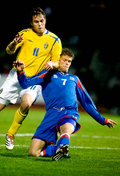 Johan Elmander, Sverige och Hermann Hreidarsson, Island