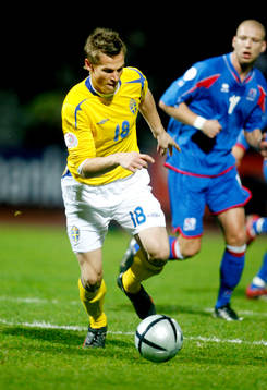 Markus Rosenberg, Sverige