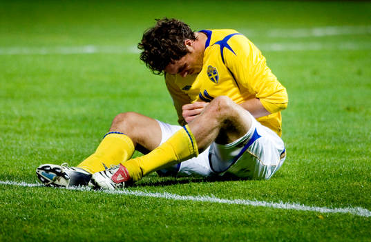 Johan Elmander, Sverige
