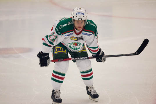 Mattias Carlsson, Rögle