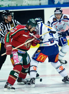 Jonas Johnson, Frölunda och Tony Mårtensson, Linköping