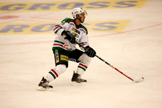 Fredrik Persson, Rögle