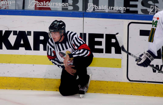Domare, Ulf Rönnmark, Fick en puck i  ljumsken