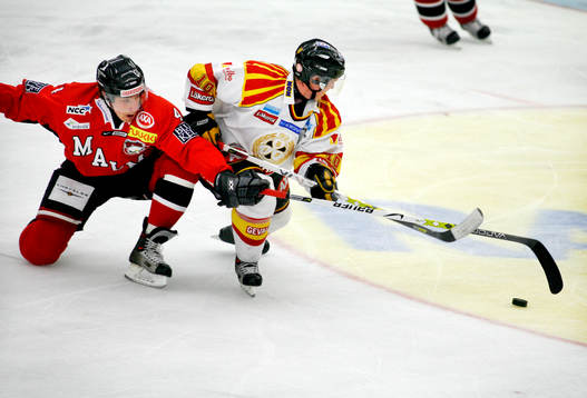 Andreas Thuresson, Malmö och Peter Nolander, Brynäs