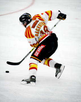 Ishockey, Elitserien, Nicklas Bäckström, Brynäs