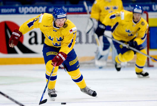 Ishockey, Karjala Cup, Sverige - Ryssland, Fredrik Warg