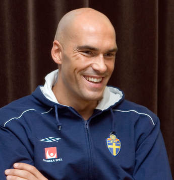 Daniel Majstorovic, Sverige