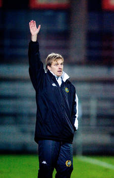Tony Gustavsson, Tränare Hammarby
