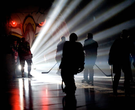 Malmö Redhawks, entré