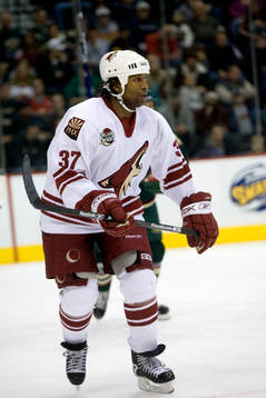 Georges Laraque