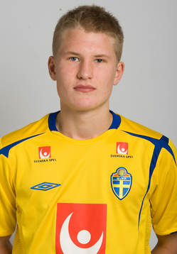 Johan Palm, Sverige