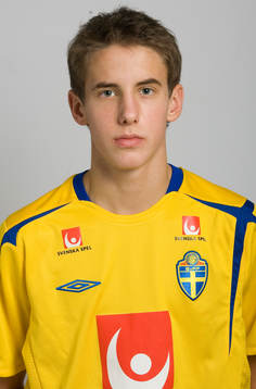 Johan Eiswohld, Sverige