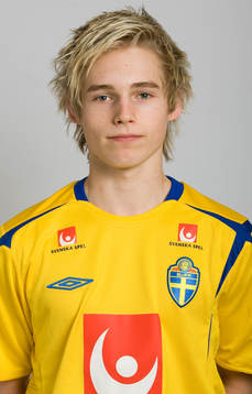 Johan Hultgren, Sverige